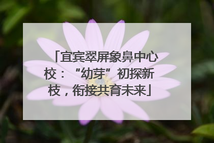 宜宾翠屏象鼻中心校：“幼芽”初探新枝，衔接共育未来