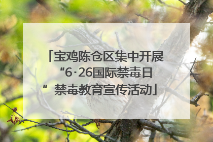 宝鸡陈仓区集中开展“6･26国际禁毒日”禁毒教育宣传活动