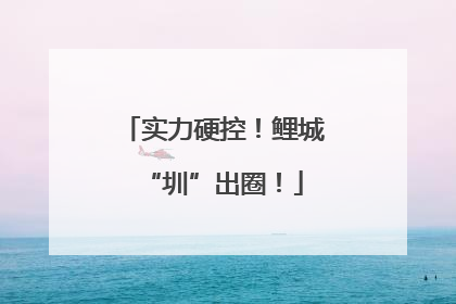 实力硬控！鲤城“圳”出圈！