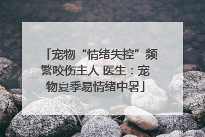 宠物“情绪失控”频繁咬伤主人 医生：宠物夏季易情绪中暑
