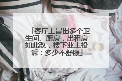 客厅上冒出多个卫生间、厨房，出租房如此改，楼下业主投诉：多少不舒服