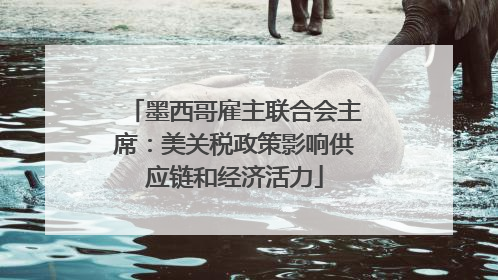 墨西哥雇主联合会主席：美关税政策影响供应链和经济活力