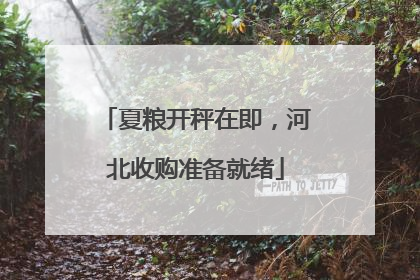夏粮开秤在即，河北收购准备就绪