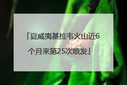 夏威夷基拉韦火山近6个月来第25次喷发
