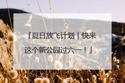 夏日放飞计划｜快来这个新公园过六一！