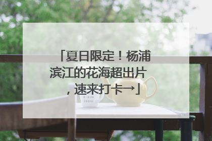 夏日限定！杨浦滨江的花海超出片，速来打卡→