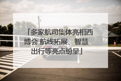 多家航司集体亮相西博会 航线拓展、智慧出行等亮点纷呈