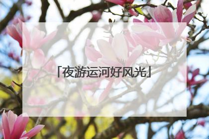 夜游运河好风光
