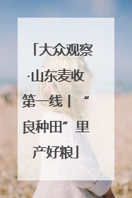 大众观察·山东麦收第一线丨“良种田”里产好粮