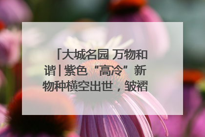 大城名园 万物和谐│紫色“高冷”新物种横空出世，皱褶叶片暗藏进化密码