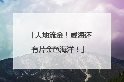 大地流金！威海还有片金色海洋！