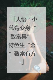 大悟：小蓝莓变身“致富果” 特色生“金”致富有方