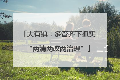 大有镇：多管齐下抓实“两清两改两治理”