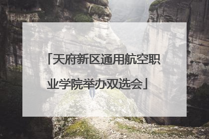 天府新区通用航空职业学院举办双选会