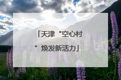 天津“空心村”焕发新活力
