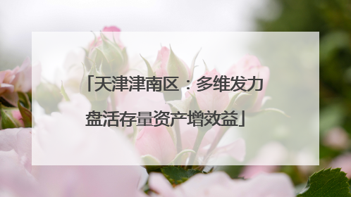 天津津南区：多维发力盘活存量资产增效益
