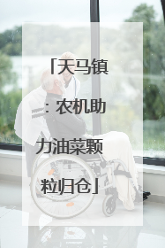 天马镇：农机助力油菜颗粒归仓
