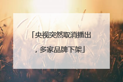 央视突然取消播出，多家品牌下架