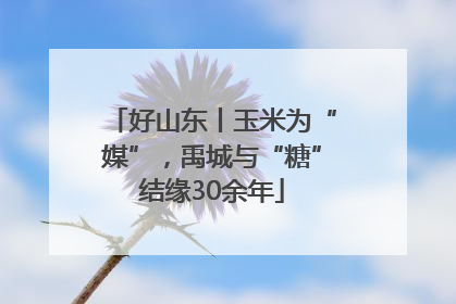 好山东丨玉米为“媒”，禹城与“糖”结缘30余年