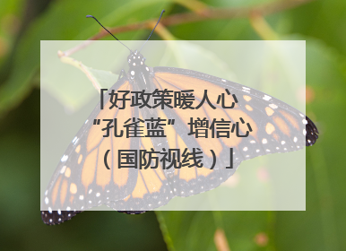 好政策暖人心 “孔雀蓝”增信心（国防视线）