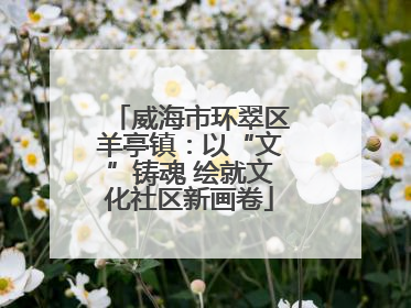 威海市环翠区羊亭镇：以“文”铸魂 绘就文化社区新画卷