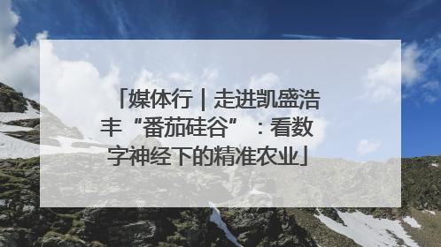 媒体行｜走进凯盛浩丰“番茄硅谷”：看数字神经下的精准农业