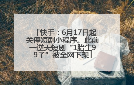 快手：6月17日起关停短剧小程序。此前一逆天短剧“1胎生99子”被全网下架