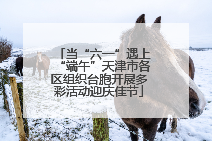 当“六一”遇上“端午”天津市各区组织台胞开展多彩活动迎庆佳节