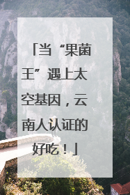 当“果菌王”遇上太空基因，云南人认证的好吃！