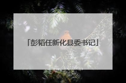 彭韬任新化县委书记