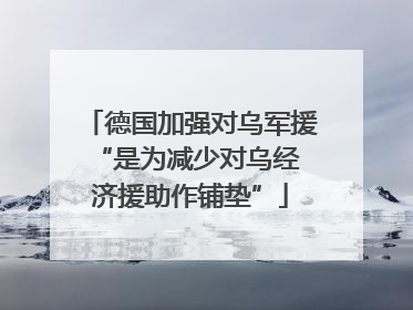 德国加强对乌军援 “是为减少对乌经济援助作铺垫”
