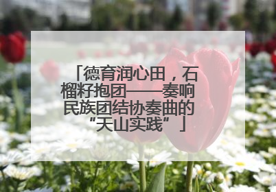 德育润心田，石榴籽抱团——奏响民族团结协奏曲的“天山实践”