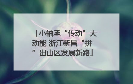 小轴承“传动”大动能 浙江新昌“拼”出山区发展新路