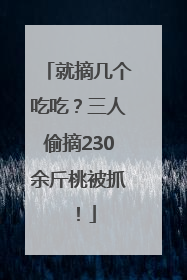 就摘几个吃吃？三人偷摘230余斤桃被抓！