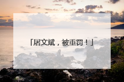屠文斌，被重罚！