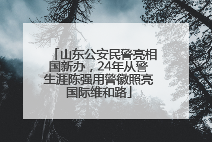 山东公安民警亮相国新办，24年从警生涯陈强用警徽照亮国际维和路