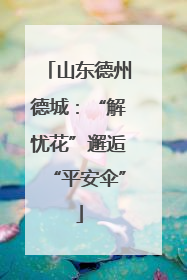 山东德州德城：“解忧花”邂逅“平安伞”