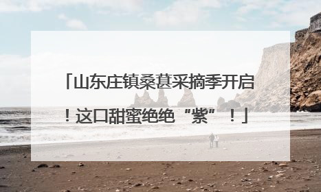 山东庄镇桑葚采摘季开启！这口甜蜜绝绝“紫”！