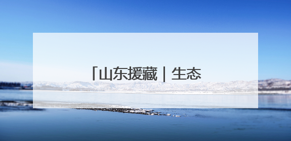 山东援藏｜生态援藏，戈壁滩上的“潍坊魔法”