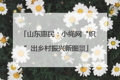 山东惠民：小绳网“织”出乡村振兴新图景