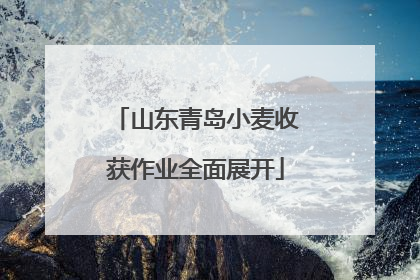 山东青岛小麦收获作业全面展开