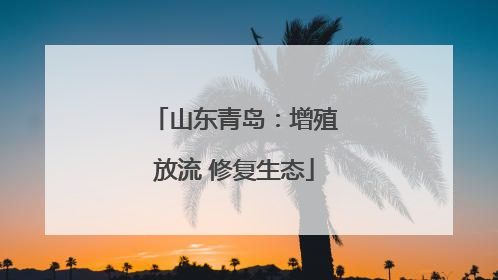 山东青岛：增殖放流 修复生态
