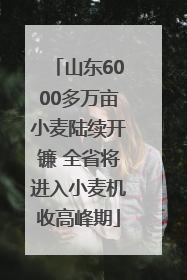 山东6000多万亩小麦陆续开镰 全省将进入小麦机收高峰期