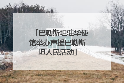 巴勒斯坦驻华使馆举办声援巴勒斯坦人民活动
