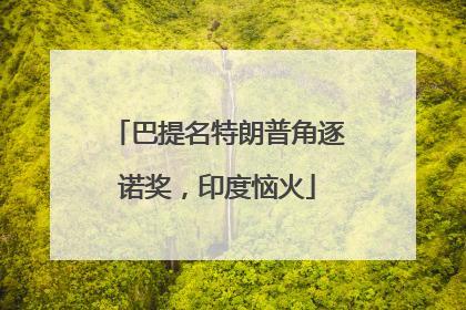 巴提名特朗普角逐诺奖，印度恼火