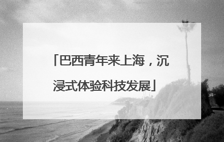 巴西青年来上海，沉浸式体验科技发展