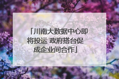 川南大数据中心即将投运 政府搭台促成企业间合作