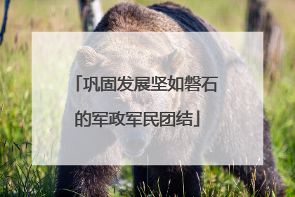 巩固发展坚如磐石的军政军民团结