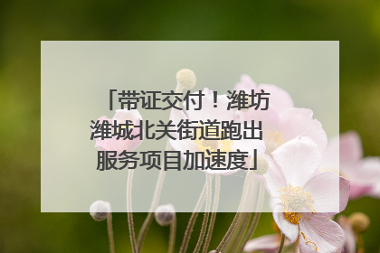 带证交付！潍坊潍城北关街道跑出服务项目加速度