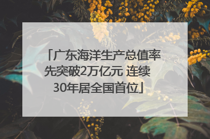 广东海洋生产总值率先突破2万亿元 连续30年居全国首位